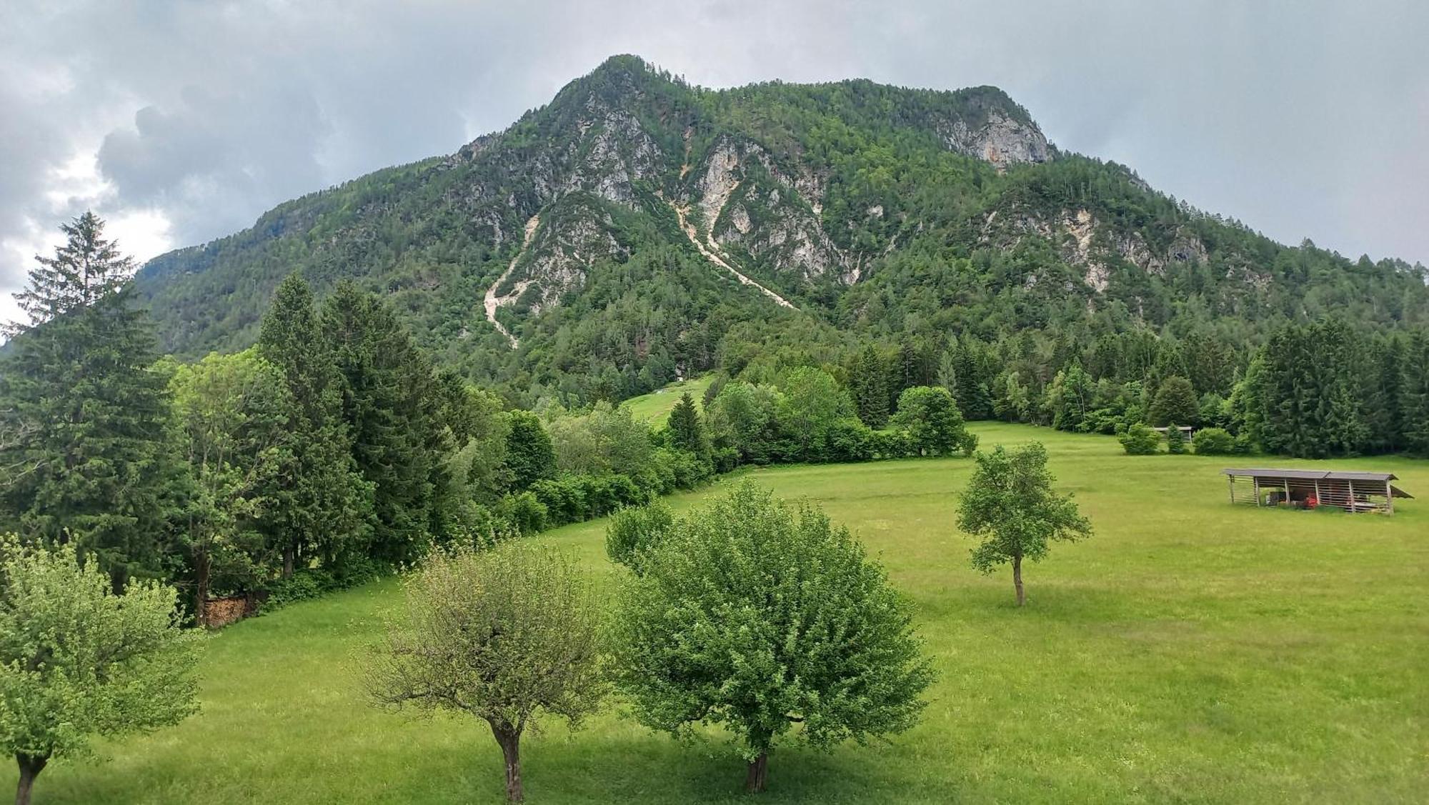 Apartma Rozle Mojstrana Quarto foto